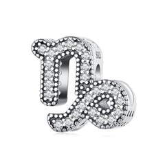 Silver Charm Capricorn Lucky Sign CZ Charm