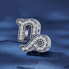 Silver Charm Capricorn Lucky Sign CZ Charm