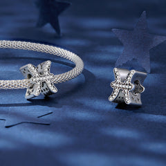 Silver Charm Pisces Lucky Sign CZ Charm